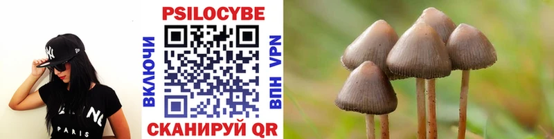 Псилоцибиновые грибы ЛСД  blacksprut ссылка  Аркадак  купить наркоту 
